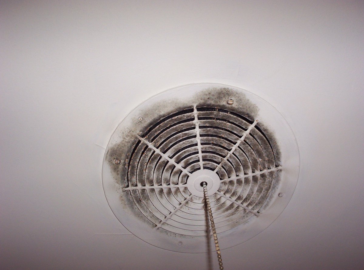 mikemcmahon58's tweet photo. YOUR HOME #mold IN YOUR #airducts ? IN YOUR #crawspace BEHIND YOUR #wallpaper #allergies #indoorair #health #moldremoval #mcmahonscleaning https://t.co/1Kj3gevN67