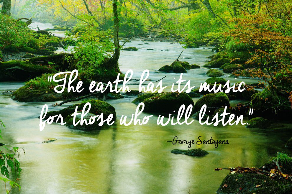 SandyRo05895027's tweet photo. #earth #music #nature #beauty #quotes #photography #innerpeace #spiritual #connecting #nature #friendsinnature #pagan #healing #peace https://t.co/kl7YEnknoV