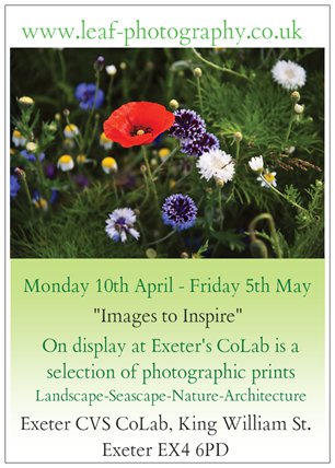 CoLabWelcome's tweet image. Opening on Monday - Ian Matthews kicks off a whole Spring/Summer run of art at The Atrium Gallery, @CoLabExeter