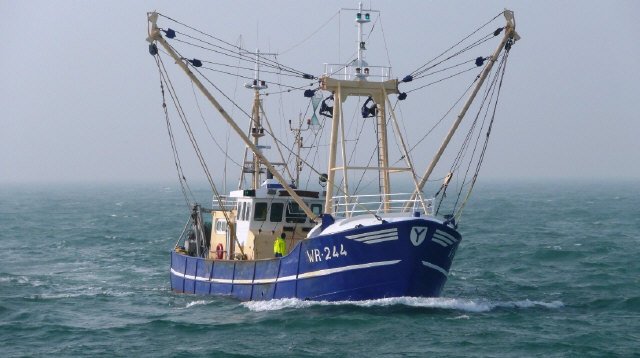 Visserij tweet media