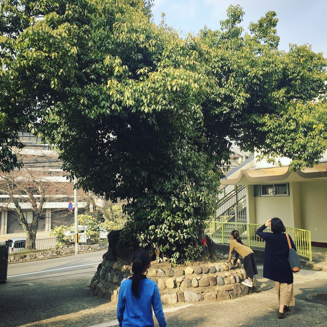 宮本武典 奈良帰郷 宮本四兄弟が全員お世話になった 奈良カトリック幼稚園 苦しかったという子育てを支えてくれたオーストラリア出身のシスター メリー ポールへの感謝を 母は今でもよく口にする 礼拝堂も 大好きだった樹も当時とまったく変わっ 宮本武典 奈良帰郷 宮本四兄弟が全員お世話になった 奈良カトリック幼稚園 苦しかったという子育てを支えてくれたオーストラリア出身のシスター メリー ポールへの感謝を 母は今でもよく口にする 礼拝堂も 大好きだった樹も当時とまったく変わっ
