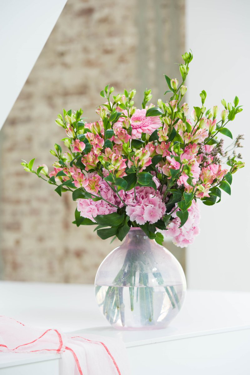 Charmelia ‘on tour’ verrast de bloemist die nu zelf de ‘magnifique’ &amp; unieke houdbaarheid &amp; sierwaarde van deze stijlvolle snijbloem ontdekt