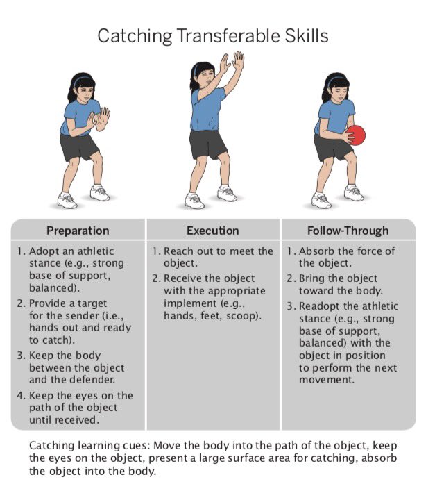 PLontheMove's tweet image. Our #PhysicalLiteracy book by @CatchingHeather w @HumanKineticsCA is now available in print &amp;amp; digital.
humankinetics.com/products/all-p… #physed #hpe