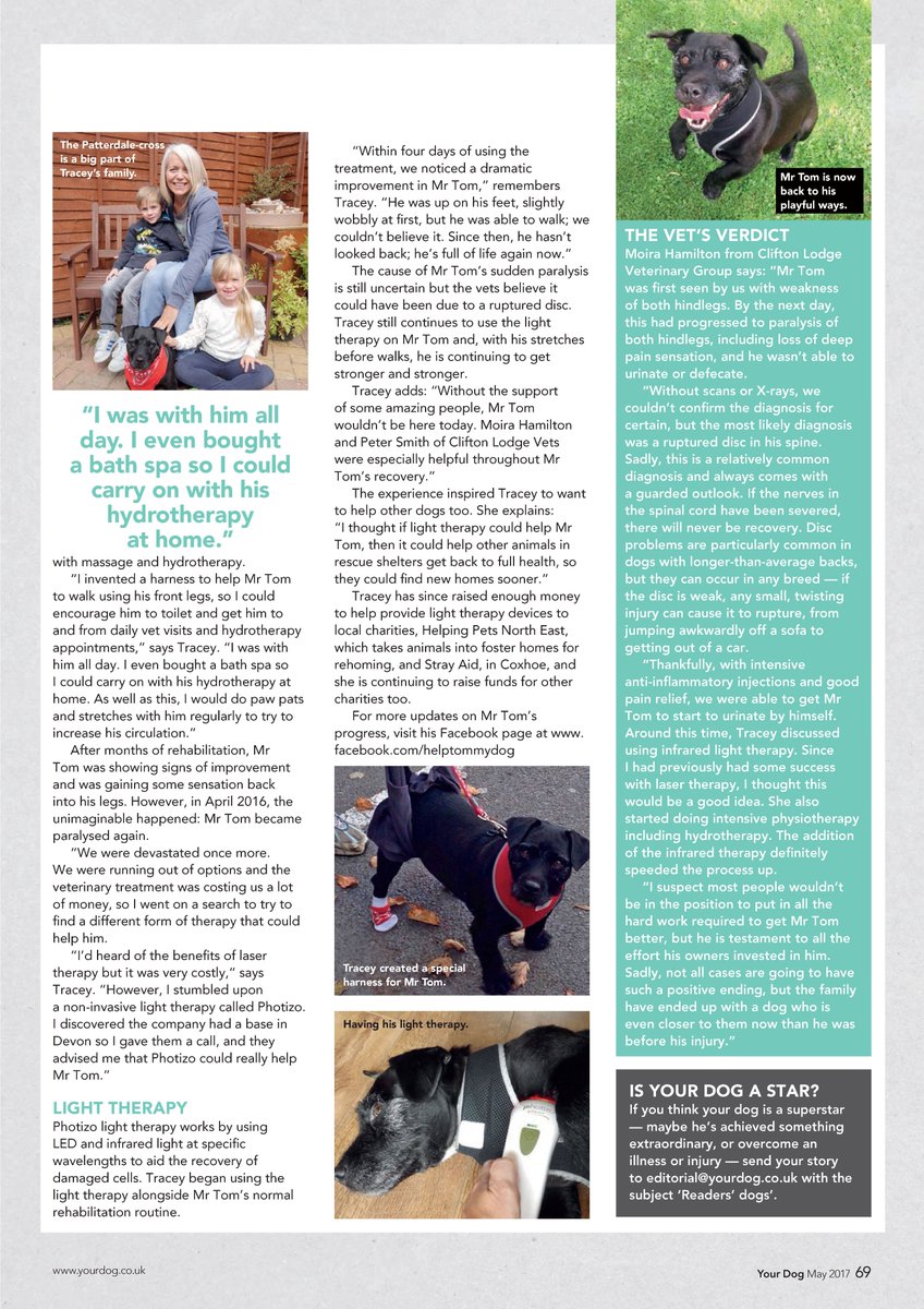 PhotizoUK's tweet photo. Read about Tommy in latest issue @yourdog who was helped back to full recovery from paralysis home rehab and Photizo Vetcare @PhotizoLight https://t.co/oZkUr0qYzk