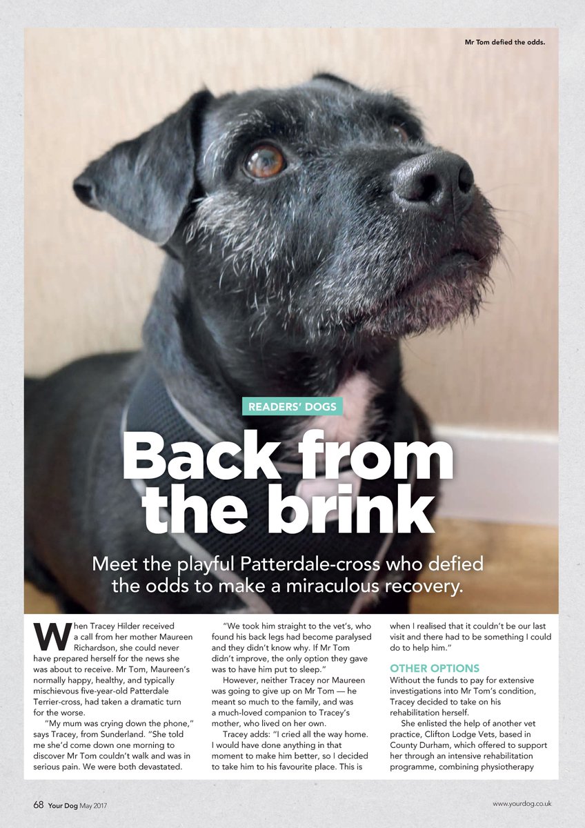 PhotizoUK's tweet photo. Read about Tommy in latest issue @yourdog who was helped back to full recovery from paralysis home rehab and Photizo Vetcare @PhotizoLight https://t.co/oZkUr0qYzk