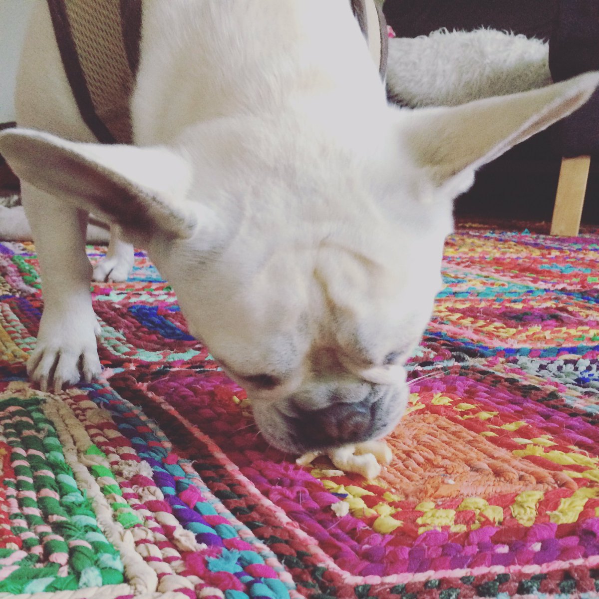 Keeeekse*mampf*schlabber*