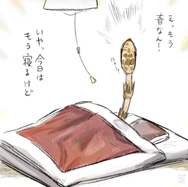 確固たる意思で寝る春のつくし。 