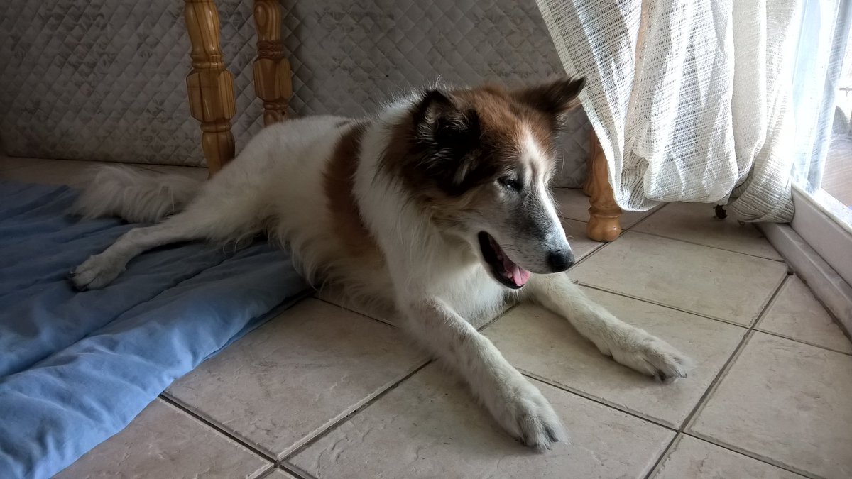 .<a href="/silvinaescudero/">Silvina Escudero</a> <a href="/anitateatro/">Anita Martinez</a> <a href="/MicaViciconte/">Mica Viciconte🌊</a> <a href="/ursuvargues/">Ursula Vargues</a> <a href="/nikineumann/">Niki Neumann</a> @PipinaMza <a href="/holanekopet/">Neko Pet</a> <a href="/mondolilareal/">Mondo Lila</a> <a href="/Arquipets/">Arquipets</a> @LABYES_AR #samson