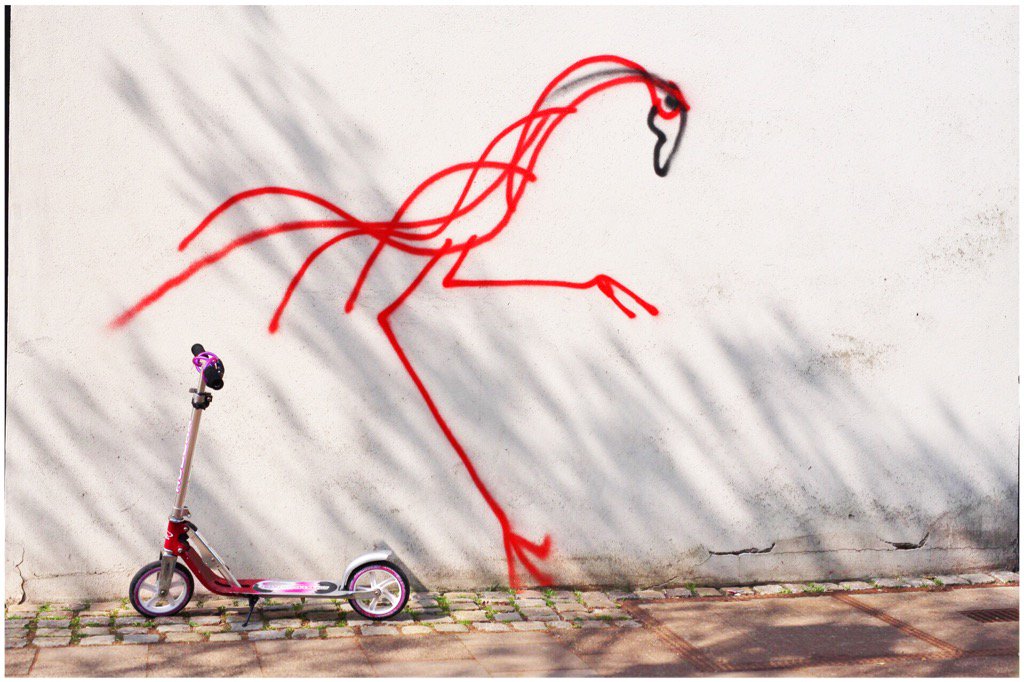 Habe wieder nen Flamingo im urbanen Lebensraum gefunden. Kurz vorher ist er vom Kickboard abgestiegen.
#naegeli