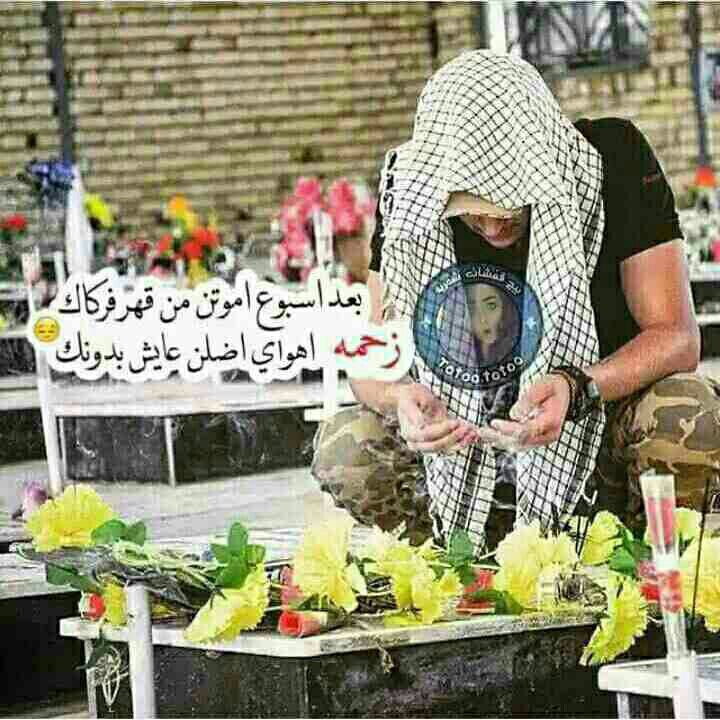 jdfyux's tweet photo. مولم https://t.co/mtYL7CgFEo