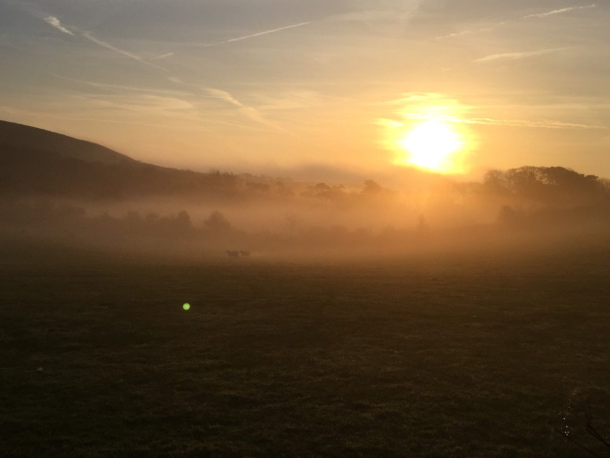 Early mornings on the sheep farm at Steeple #sunrise #dorset #purbecks #countryside #farms #supportlocalbusinesses