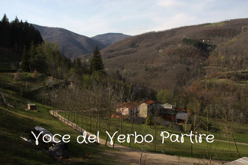 VoceDelVerboPar's tweet photo. Una #Toscana insolita,adatta a tutti:#Casentino #casentinodeisensi
@nonsoloSF @pietro_nik88 @nellavaligiadig 

➡️https://t.co/x1rf8c946t https://t.co/LkVjaqcuzj