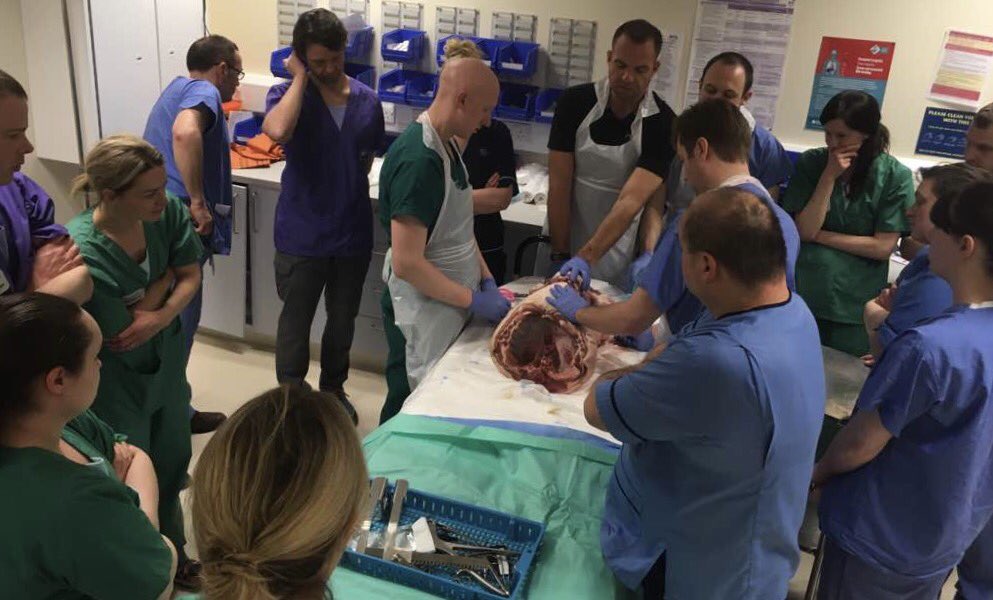 Richard Lyon tweet media