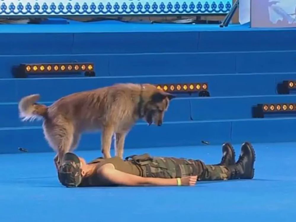 pets_celebrity's tweet image. Deril, el habilidoso perro capaz de salvar vidas !

celebritypets.net/noticias/deril…

#Mascotas #Perros #BuenMartes #Pets #CelebrityPets