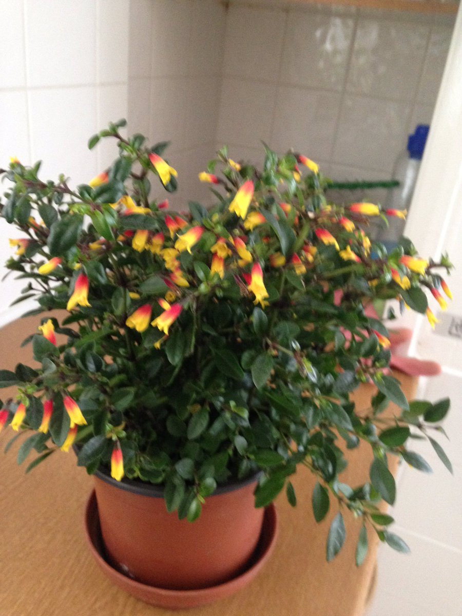 Jon Sayers tweet media