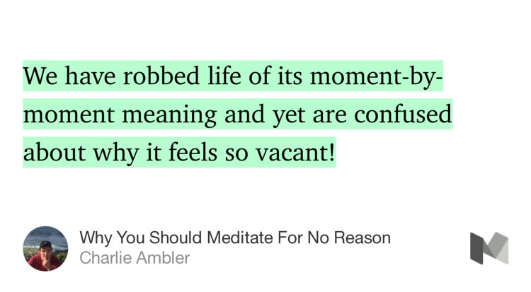 “…We have robbed life of its moment-by-moment meaning and yet are confused about why it feels so vacant!” from “Why You Should Meditate For No Reason” by Charlie Ambler.