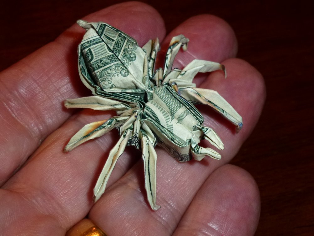 DaviCrimmins's tweet photo. @KrisKling @BertShowBert When KK wants to see #SpiderMoney - YOU SHOW HER SPIDER MONEY, DAMMIT https://t.co/E9yl0ZEHEB