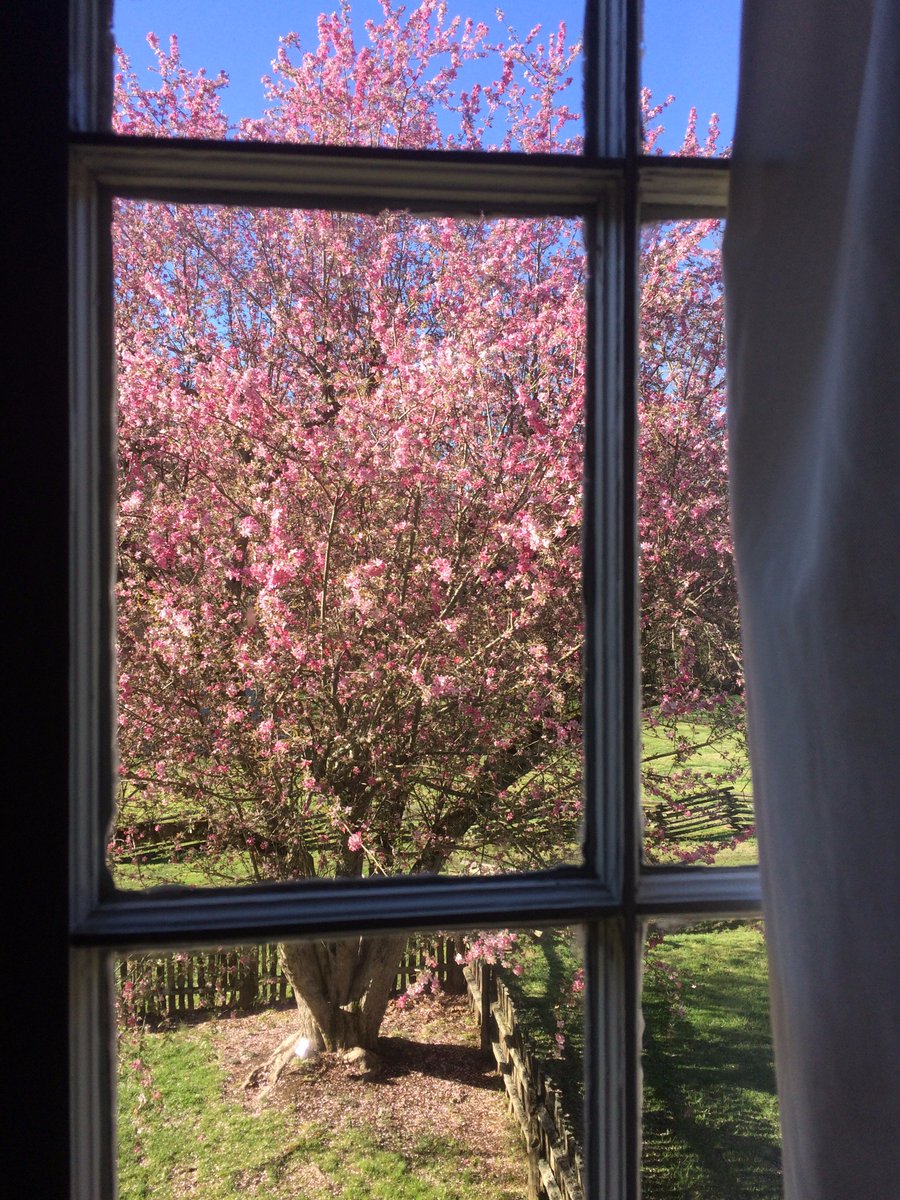 Doak House Museum tweet media