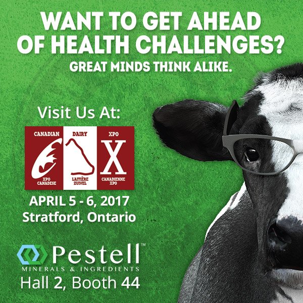 PestellMinerals's tweet photo. ๐ฎ Day 2 at @CDX2017 ๐ฎ - We're here 9am-4pm. Come on by! #CDX2017 #OntDairy #OntFeed #OntAg #ScienceHearted https://t.co/03B04FtWkA