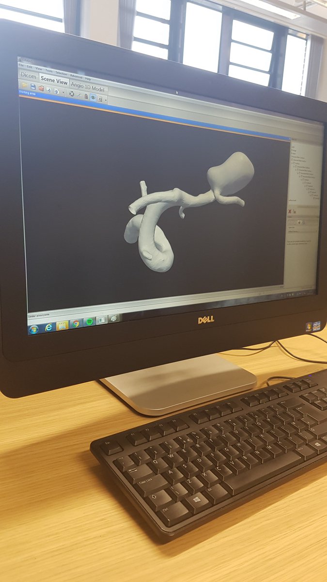 cistib's tweet photo. Tomorrow we'll be in @sheffcol w/ inspiring talks and hands-on demonstrations on computational medicine: https://t.co/G2VkNunFPf #SFOSE https://t.co/AOcoKEtNJs