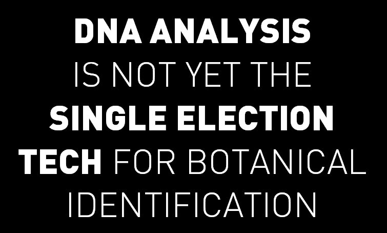 IndenaSpA's tweet photo. #DNAbarcoding technologies make more sense when integrated with data from chemical and metabolomics analysis #BotanicalsID https://t.co/JqtoMgCAtF