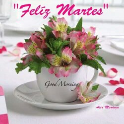 Guadalupe (@adasamper44) on Twitter photo 