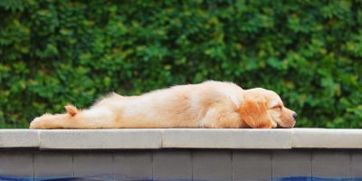 Today's The Day For tweet media