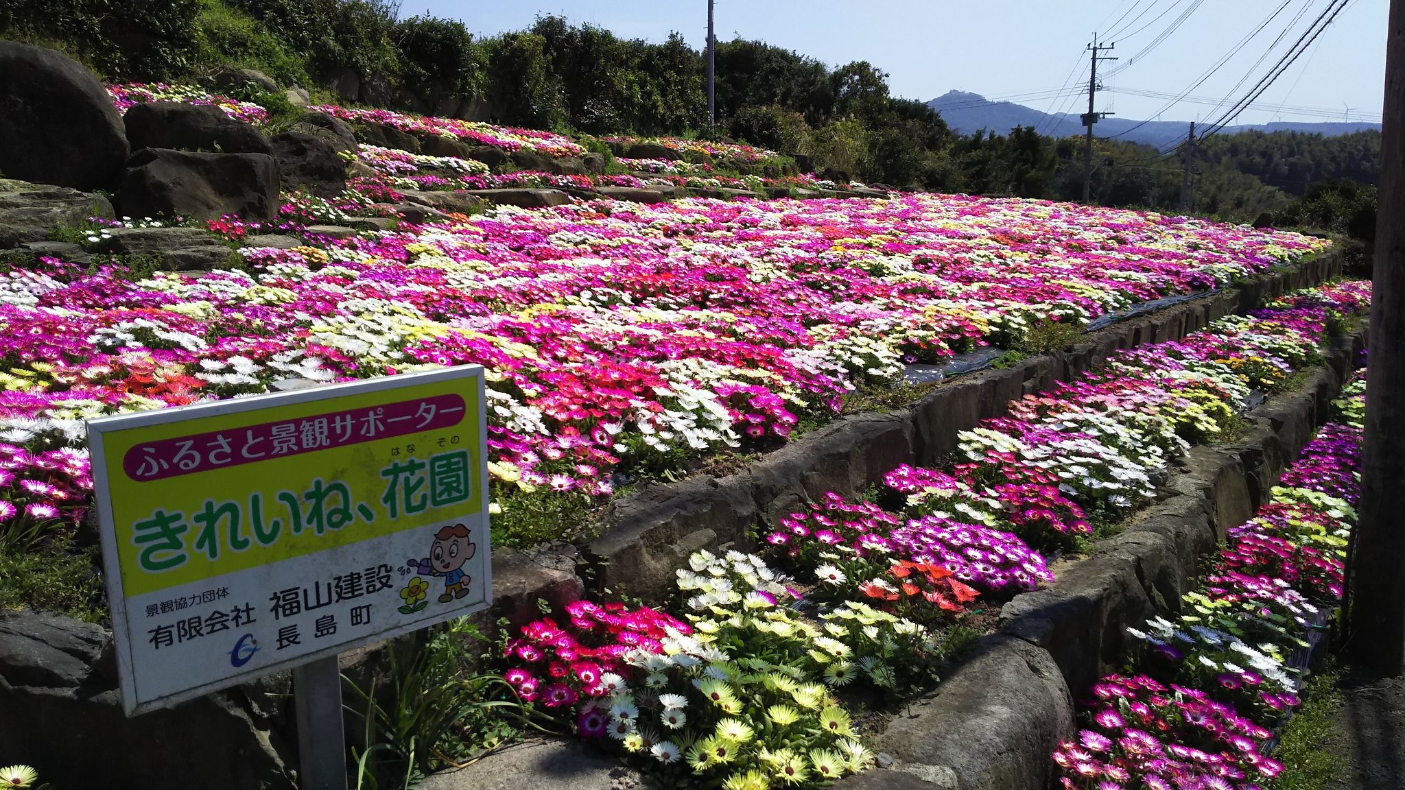 長島町 鹿児島県 Nagashima Scene Twitter