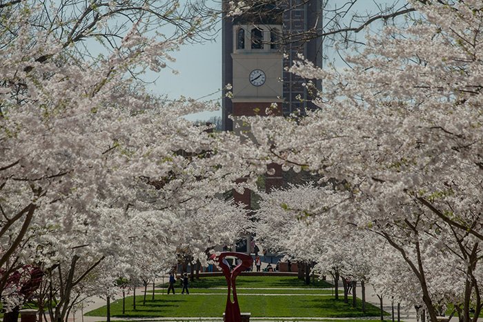WKUCOMM's tweet photo. The champion of the first #CommMarchMadness is Centennial Mall! The cherry blossoms won 16-7 yesterday! #wkucomm #wku https://t.co/6b7nYHa59i