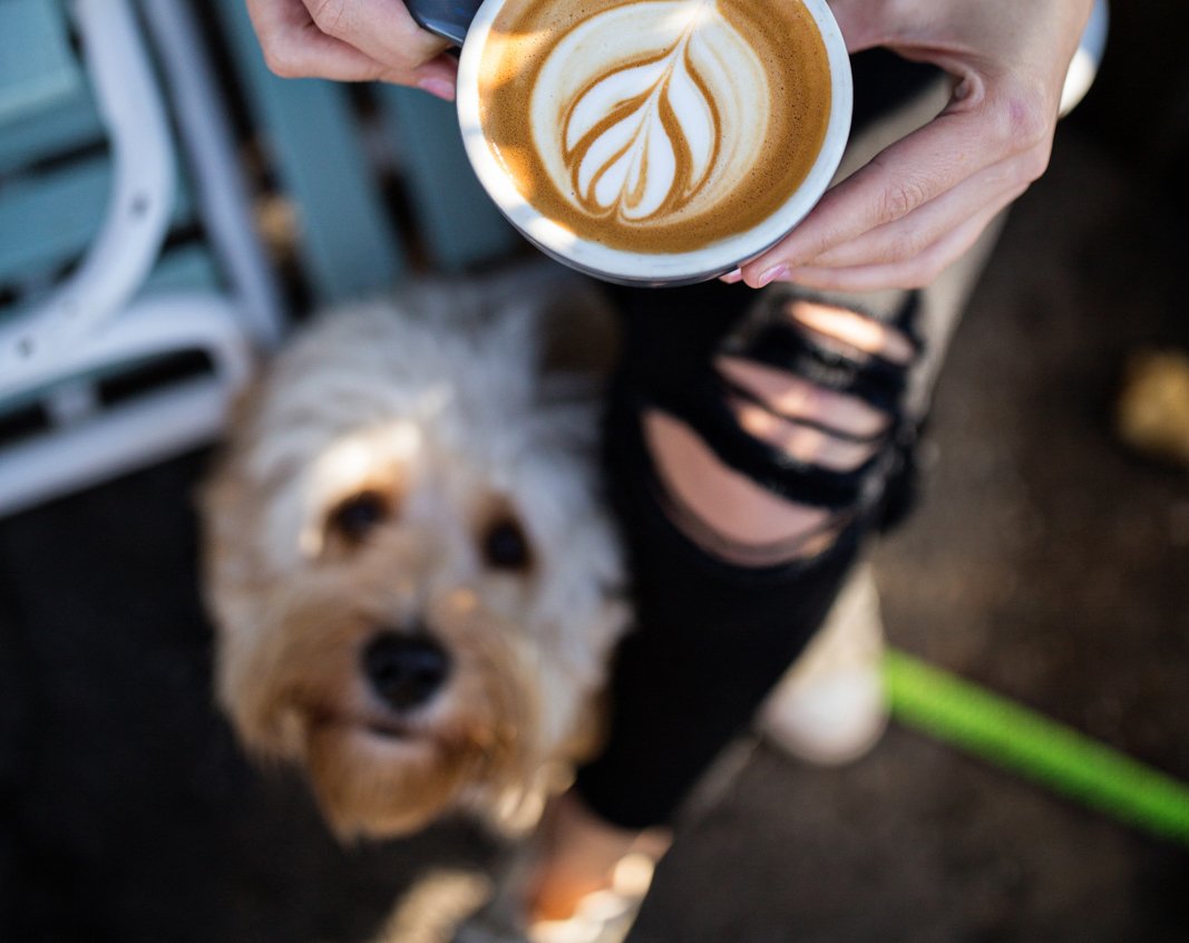 Charleston, SC Patch Breaking News, Local News, Events, Schools