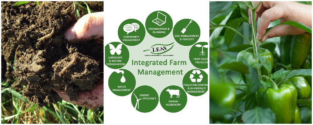 LEAF_Farming's tweet photo. Technology&amp;Progression in IFM - sign up for this year's #IFMConf https://t.co/BQUAQK4xzC @FeraScience @Bayer4CropsUK https://t.co/ZkGHTXXoXu