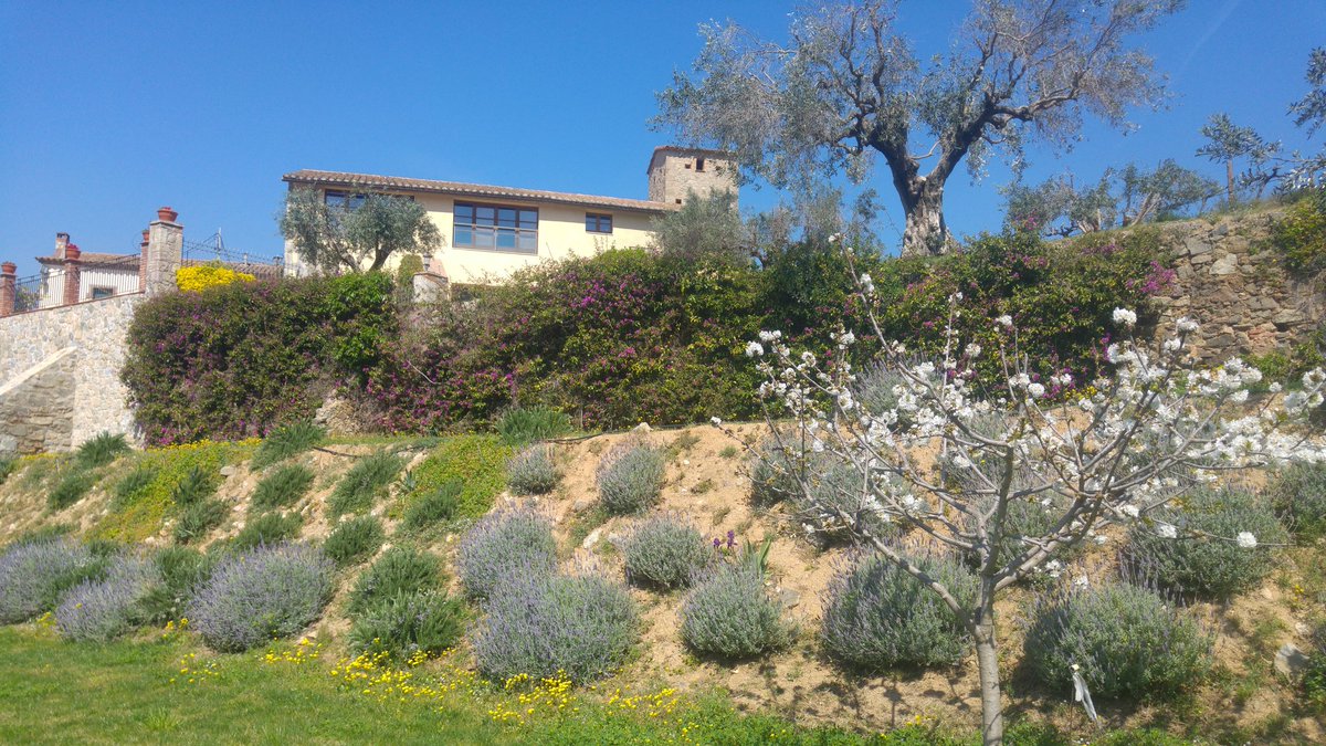 HatBarcelona's tweet photo. Welcome to the #winery!! #spring #instawines #winelover #winetours #tours #discover #enjoy #wine #cellar #flowers #winetastings https://t.co/nQOJOHYmcb