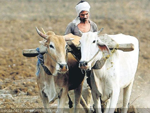 EconomicTimes's tweet photo. Farmers loans worth Rs 30,729 crores waived off by Uttar Pradesh Govt for small and marginal farmers https://t.co/W8iq9mIuKR