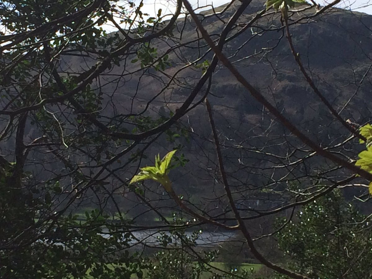 Dove Cottage tweet media