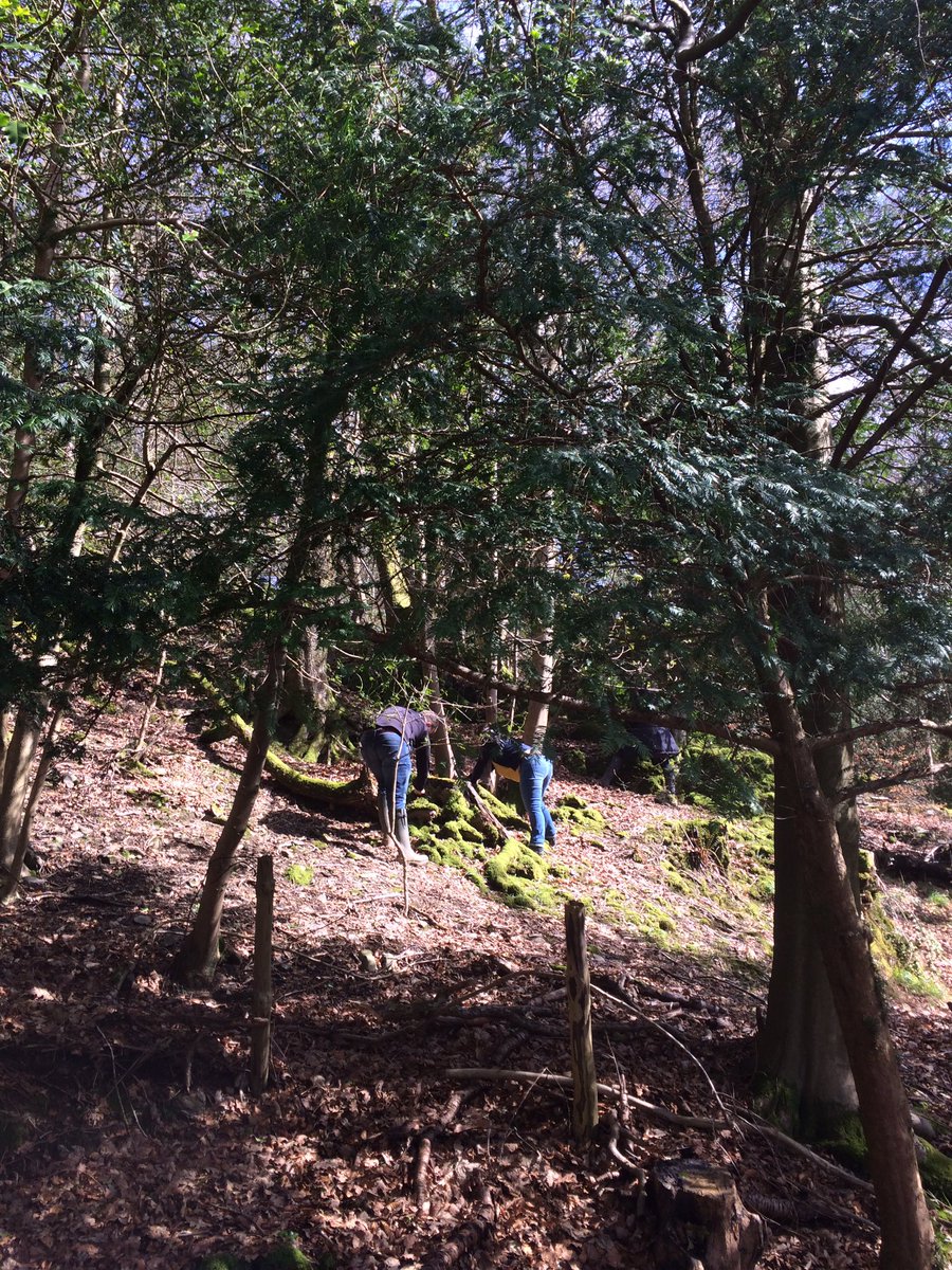 Dove Cottage tweet media