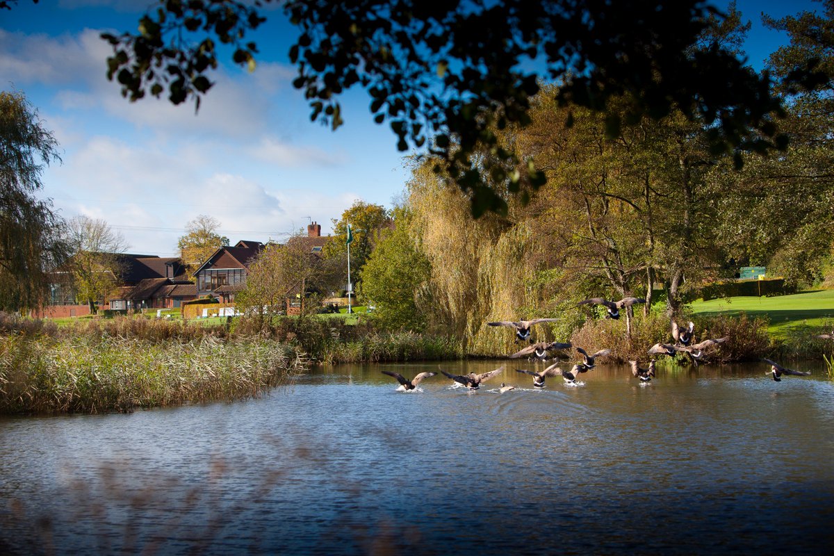 barnhambroom's tweet photo. 2 NIGHT #LUXURY BREAK #TwoNightStay #Dinner #Breakfast #HealthClub
From only £130! FIND OUT MORE >> https://t.co/GfaeYmfGwT @VisitNorwich https://t.co/GA8lpbjjUv