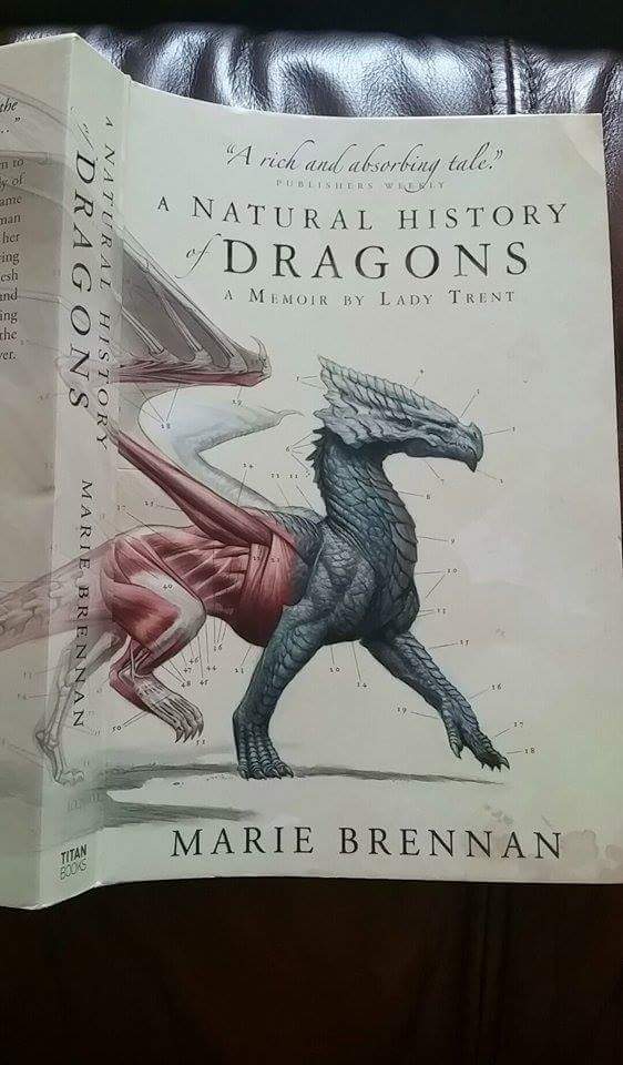 chbarli's tweet image. I genuinely want this dragon tattooed on me tbh #MarieBrennan #anaturalhistoryofdragons