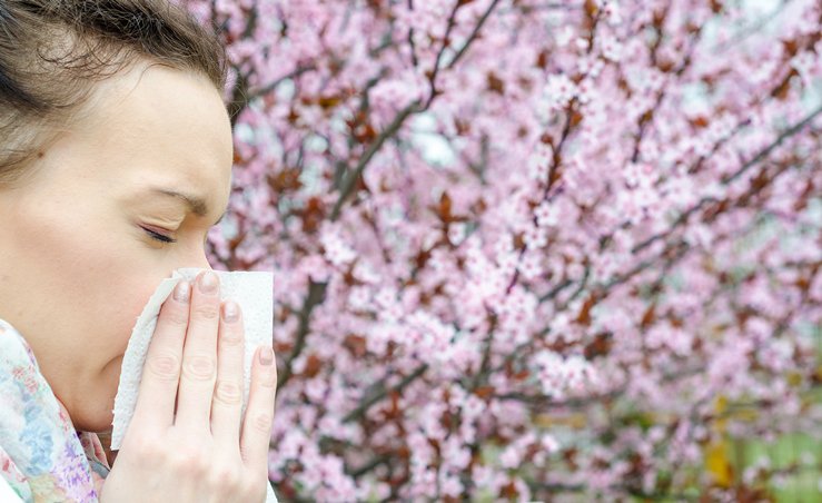 medlineplus's tweet photo. MT @NIH_ODS: Spring allergies? 6 things to know about complementary health approaches for seasonal allergy relief https://t.co/Wn4Cq6uMPW https://t.co/qAXFNx8Gdo