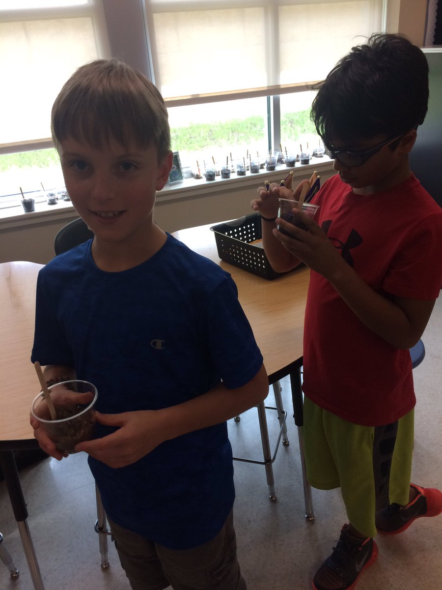 MrsGraham433's tweet photo. These #block2gators love using their #knowledge of #plants 🌱🌻🌸🌱@principalwch https://t.co/GlwcnQVefa