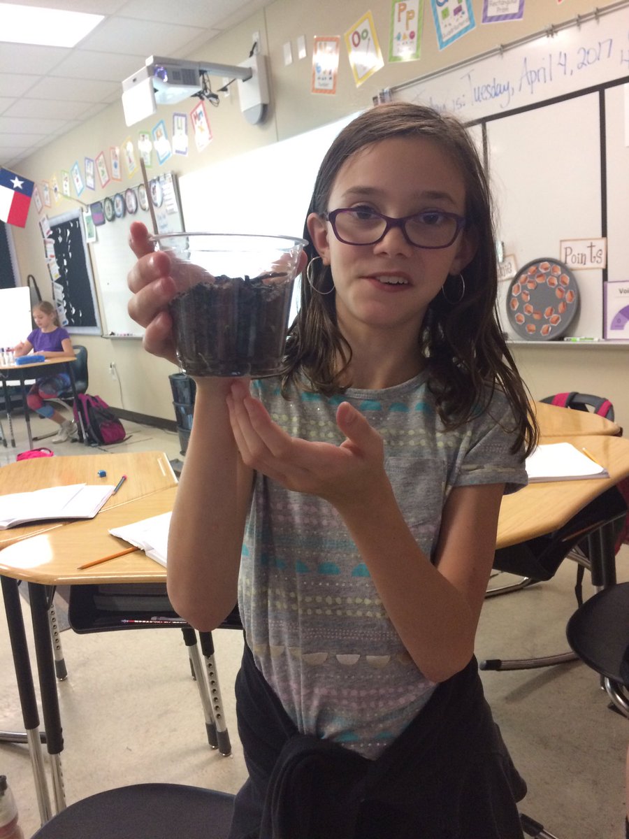 MrsGraham433's tweet photo. These #block2gators love using their #knowledge of #plants 🌱🌻🌸🌱@principalwch https://t.co/GlwcnQVefa