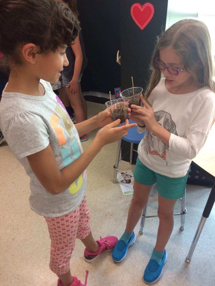 MrsGraham433's tweet photo. These #block2gators love using their #knowledge of #plants 🌱🌻🌸🌱@principalwch https://t.co/GlwcnQVefa