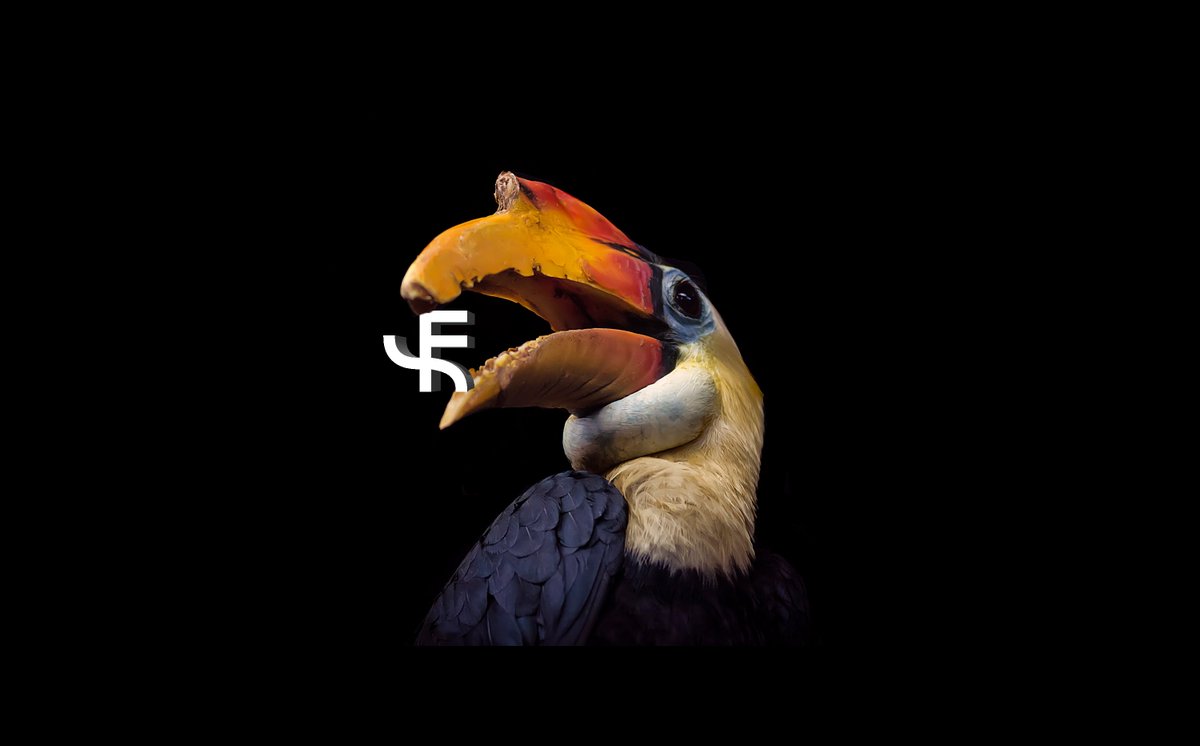 Very proud to be launching our own creative agency, Fact &amp; Story. factandstory.com. An exciting journey begins.