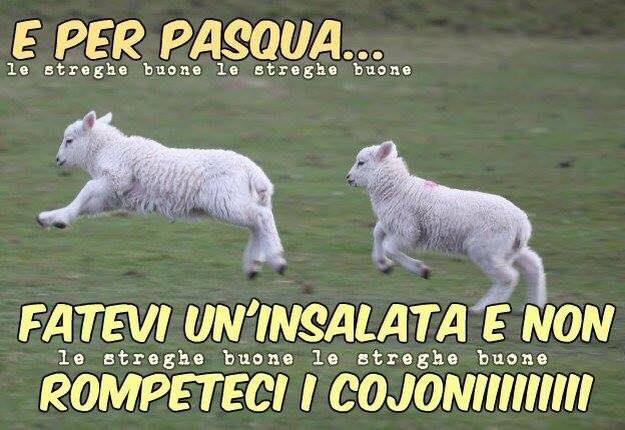 francesca fidone tweet media