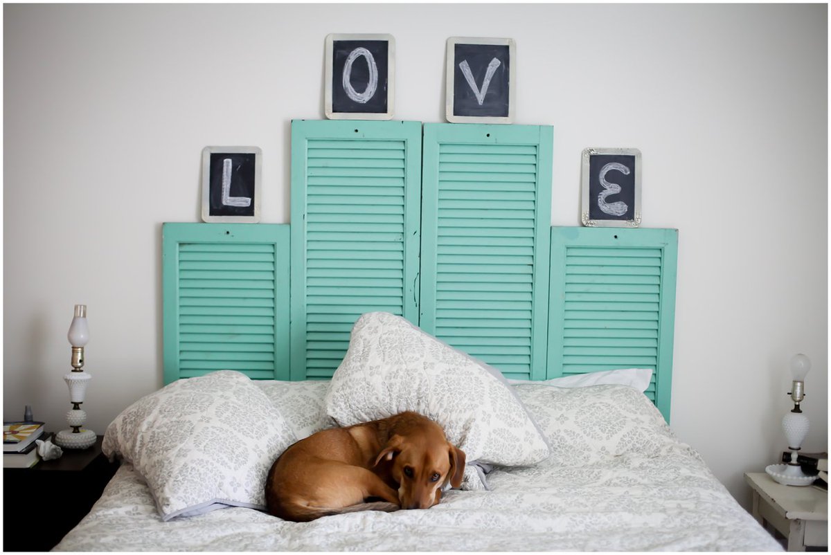dcartonblog's tweet photo. ¡Manos a la obra! 🙌 #Manualidades #DIY
Te contamos como hacer unos #cabeceros súper chulos con puertas, pallets... 😉 https://t.co/PsMlK9e7rN https://t.co/9JXmfaVWAA