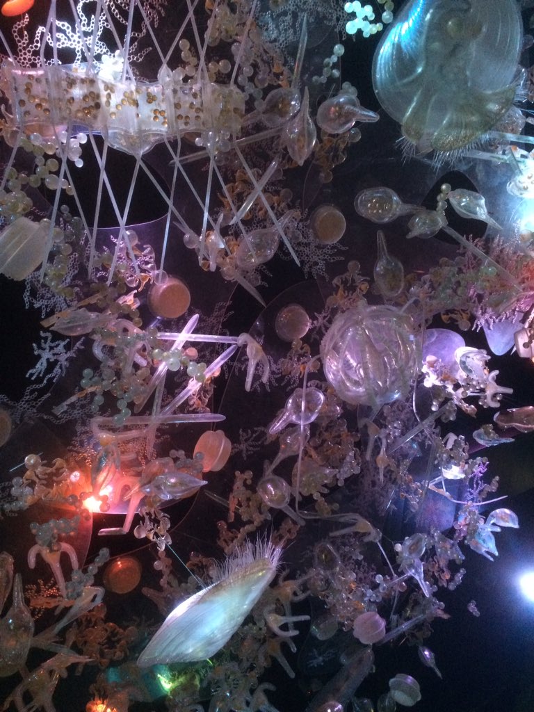 ScieKat's tweet photo. 2 Hände voll Wasser enthalten Unmengen v. Plankton. Hier eine überlebensgroße Wolke unter der Decke des #ozeaneum #radows17 #meereundozeane https://t.co/DnLUPQiq37