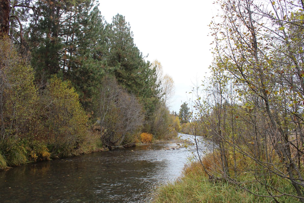 DesLandTrust's tweet photo. We're excited to announce our newest Preserve: Willow Springs! 130 acres along #Whychus Creek permanently protected: https://t.co/42e8QDruFa https://t.co/OWqt8PDWFw