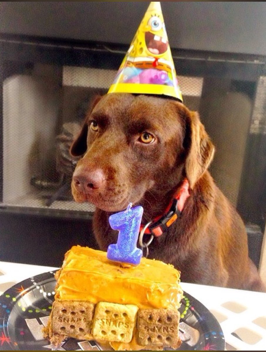 BannerBJones's tweet photo. Flashback to my first birthday and when i hated life. 😑 #WhyYouGottaMakeMeWearAHatTho https://t.co/Asdhqgosbc