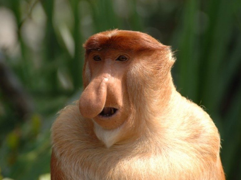 Thalicox's tweet image. #LeGrandDebat
- Monsieur #Lassalle c'est à vous?
- reuiol hdhoskkd jjfkslsldbh hvsgsldk
- .....