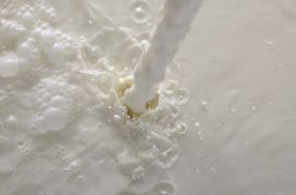 Licht verder herstel vol poeder op GDT-veiling dlvr.it/NpGm4l