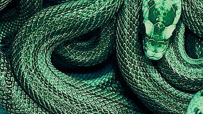 YourScorpius's tweet photo. • sᴄᴏʀᴘɪᴜs ᴍᴀʟғᴏʏ • https://t.co/nkHfdoQxaO
